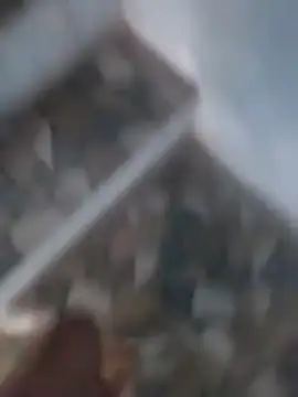 Snapshot of Playboy_bhabhi_00 chatting on March 18, 11:22 am Playboy bhabhi 00 online show from March 18, 11:22 am