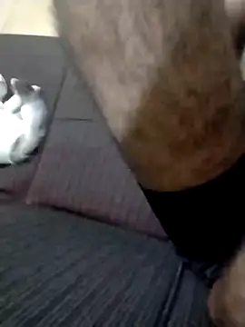 DOMINADOR5 online show from February 9, 12:51 am