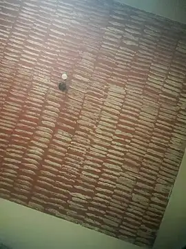 DOMINADOR5 online show from February 9, 4:29 pm