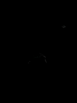 Codybugs0206 online show from November 22, 11:59 pm