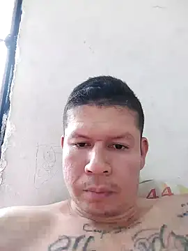 Snapshot of elcapi_03 chatting on February 11, 2:24 pm elcapi 03 online show from February 11, 2:24 pm