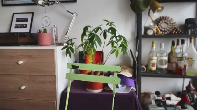 MikymikeBBWD online show from February 12, 12:22 pm