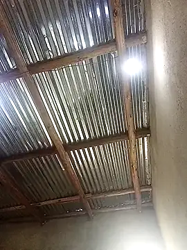 lilpip online show from December 19, 4:31 am