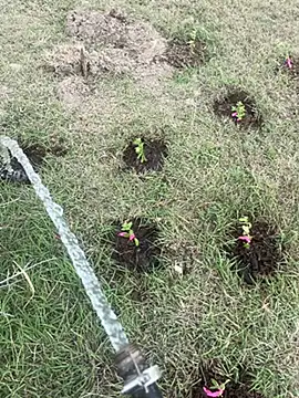 mikeg2392 online show from March 7, 6:27 pm