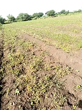 himvilohi08 online show from October 11, 9:57 am