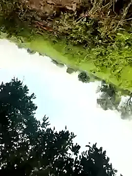 himvilohi08 online show from October 4, 5:23 am