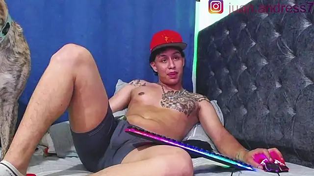 Stone grey1  online show from November 29, 9:55 am