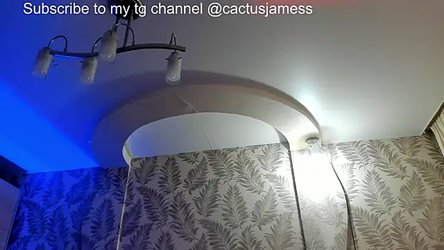 Cactus  James online show from June 21, 1:11 am