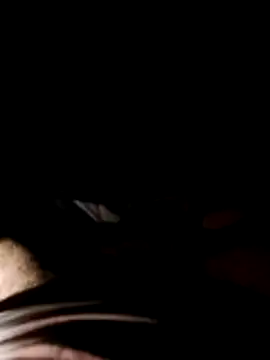 psycodelicus online show from December 4, 6:09 am