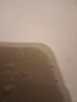 Snapshot of moasslicker chatting on October 21, 4:48 am moasslicker online show from October 21, 4:48 am