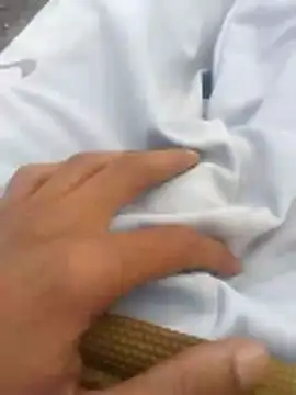 tiibcstuj online show from February 14, 12:11 pm