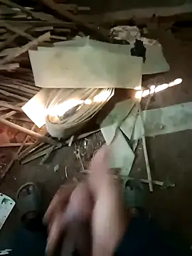 zim200 online show from November 25, 5:09 am