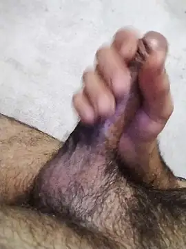 salimbasha online show from October 5, 12:58 am