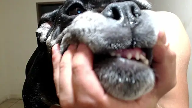 BlondZilla online show from March 18, 6:27 am