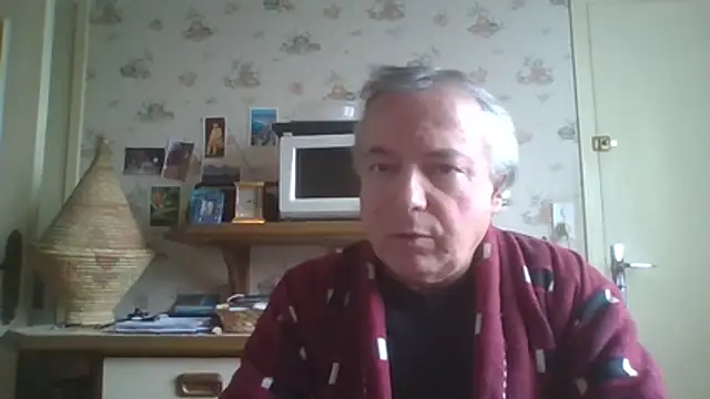 gegevincent online show from February 14, 2:12 pm