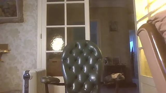 gegevincent online show from February 2, 4:48 pm