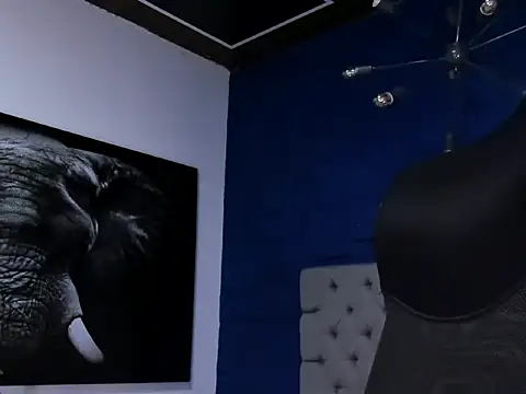 king falconer online show from February 1, 1:59 am