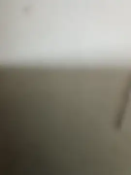 guridosul051 online show from January 12, 2:32 pm