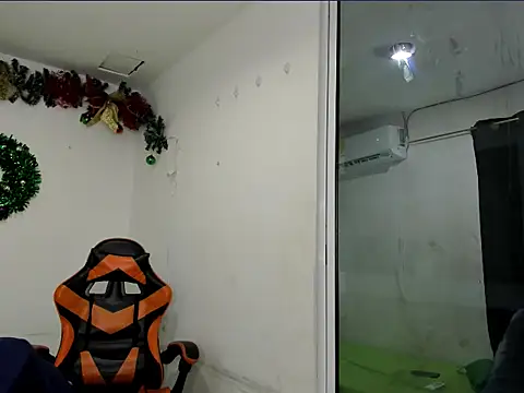 kenshi roa online show from December 14, 2:51 am