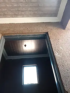 bhutimjongeni online show from September 9, 8:14 am