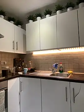 Michel huge online show from November 2, 7:23 am