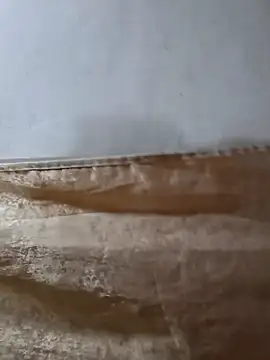 darryl hugecok online show from March 15, 7:16 am