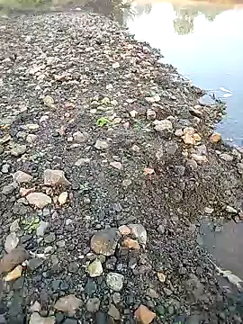 BlackhorseBBC online show from December 4, 2:29 am