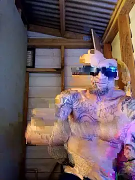 ShawnandDani7074 online show from February 17, 3:16 am