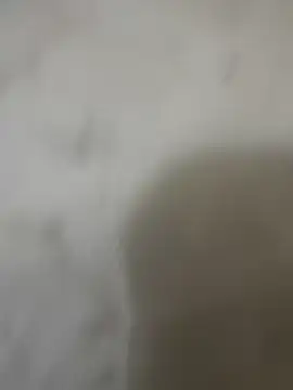 zackria online show from December 23, 12:30 am