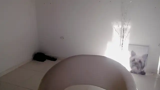 Snapshot of Stein_ chatting on September 24, 12:58 pm Stein online show from September 24, 12:58 pm