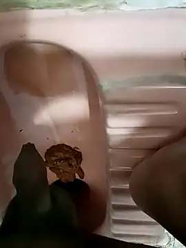 twpatil online show from March 12, 2:08 am