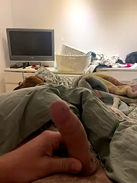 carapace31 online show from December 20, 7:26 am