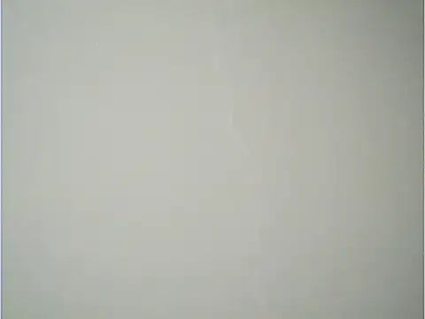 fcach2244 online show from November 18, 2:21 pm