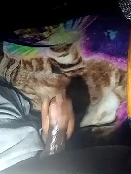 ANDACONDA-PYTHON online show from November 2, 11:58 am