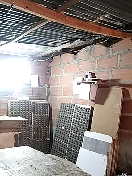 hoteder online show from January 14, 12:32 pm