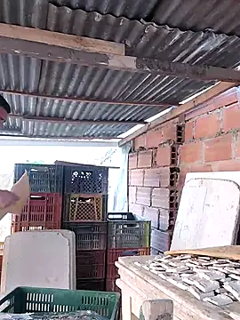 hoteder online show from February 7, 1:18 pm