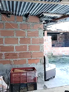 hoteder online show from November 26, 3:59 pm