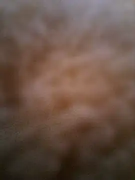 sexy pikachu online show from March 12, 10:23 am