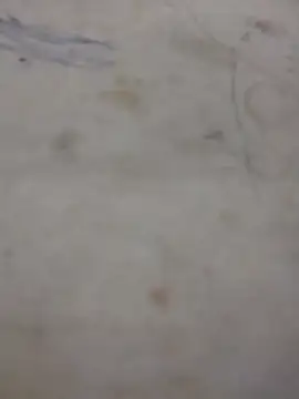 achabacha09 online show from September 24, 6:06 pm