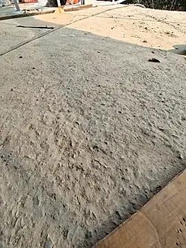 UP16LT5355 online show from November 23, 7:41 am