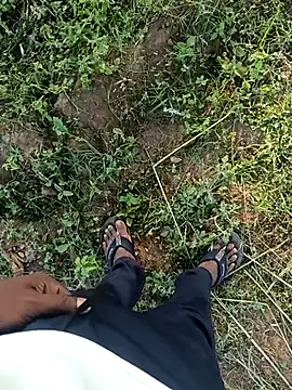 dolphiinn online show from April 18, 11:33 am