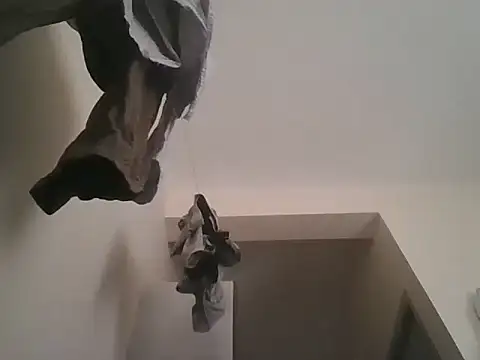 king godgm online show from November 28, 7:33 am