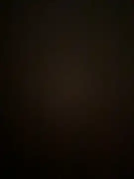 cubavipice online show from November 14, 2:40 pm