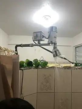 YadielPublic online show from February 27, 12:56 am