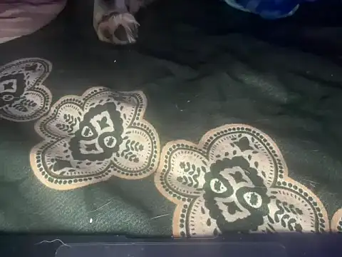 LustyDuoSecrets online show from February 9, 6:07 am