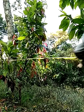 AlphaAlterX online show from February 28, 1:21 pm