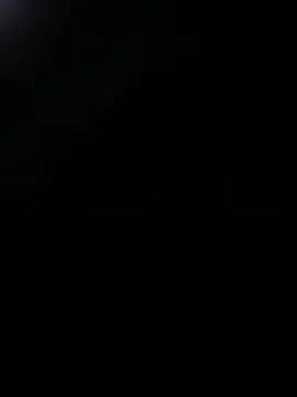 Holanda23cm online show from December 16, 6:31 am