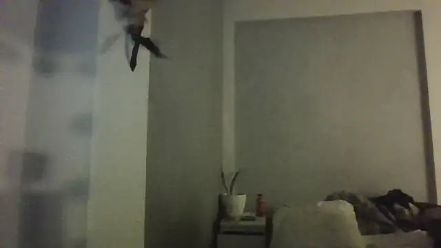 anghelrabbit online show from September 14, 1:18 am