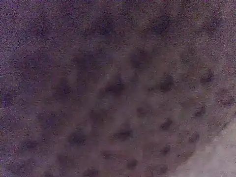LuispingonX69 online show from May 16, 5:33 pm