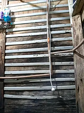 novinho100795 online show from November 7, 9:29 pm